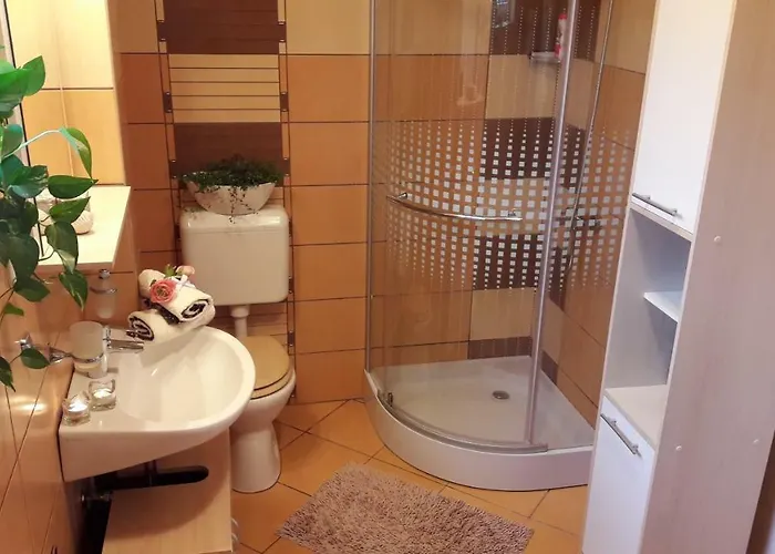 Apartament Gabi *